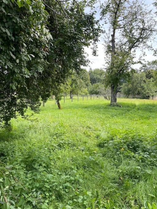 La Maison De Jean-Pierre  Devecey エクステリア 写真