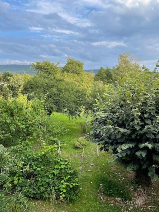 La Maison De Jean-Pierre  Devecey エクステリア 写真